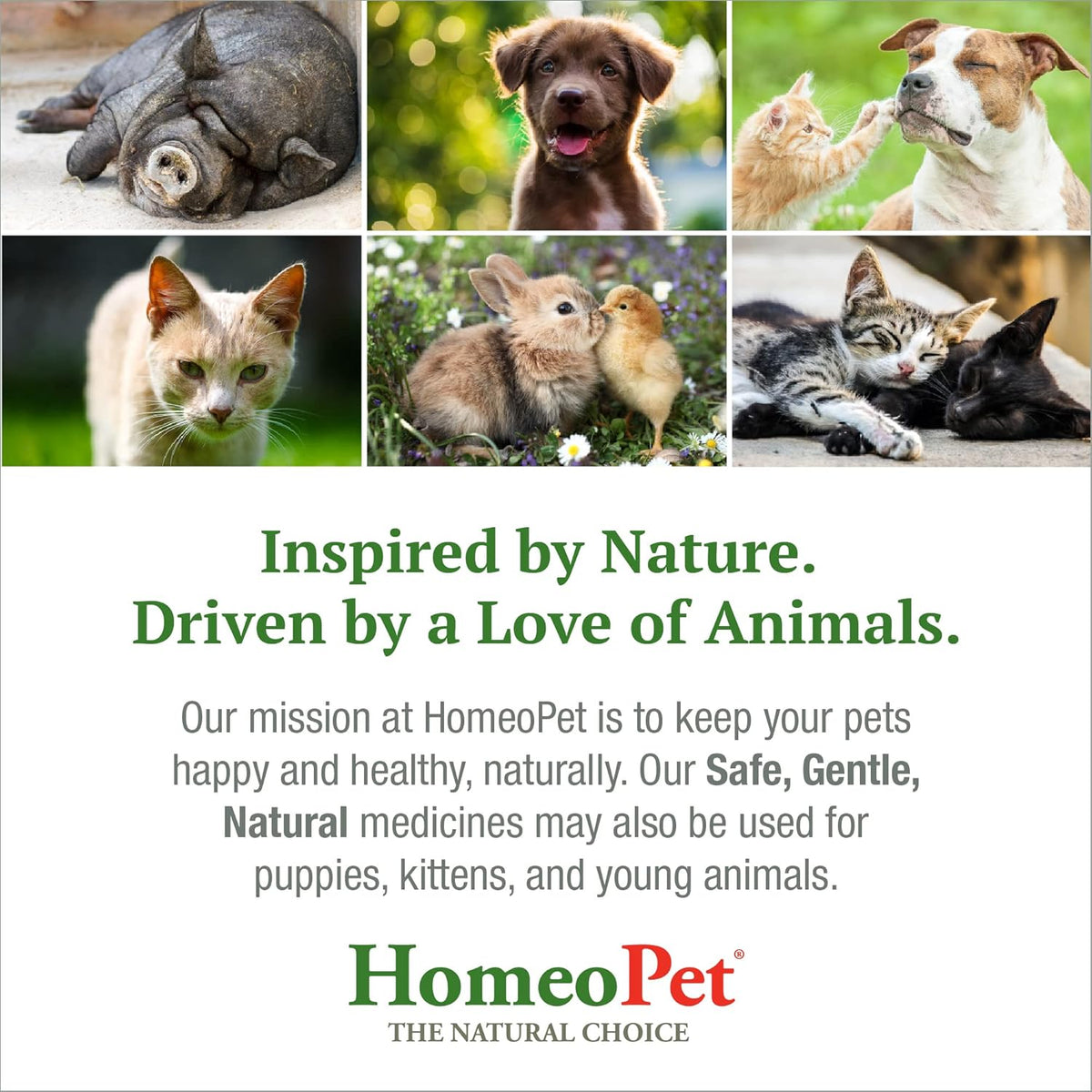 15 Milliliters Natural Pet Digestive Support H186