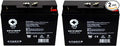 12V 18Ah Replacement Battery (2 Pack) R60709