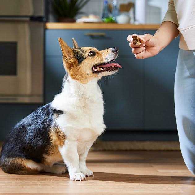 Dehydrated Beef Lung Dog Treats I614