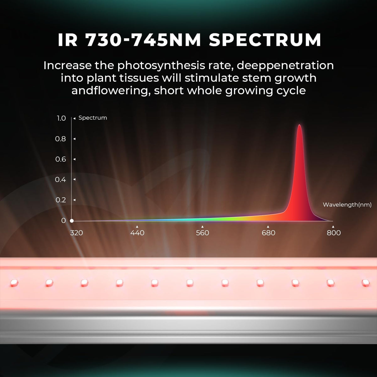 300Watt LED Grow Light U2381