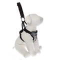 Dog Travel Harness I8156