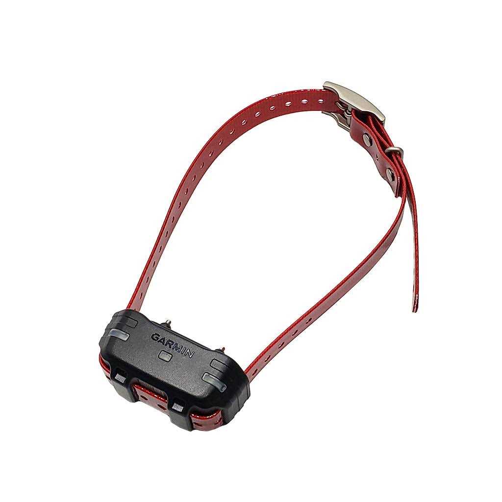 Dog Device Collar C39754