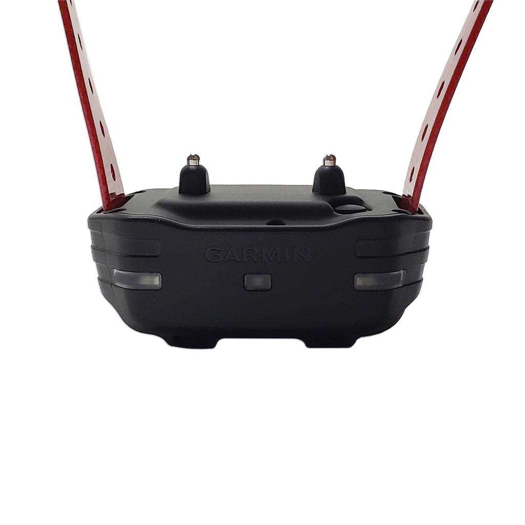 Dog Device Collar C39754