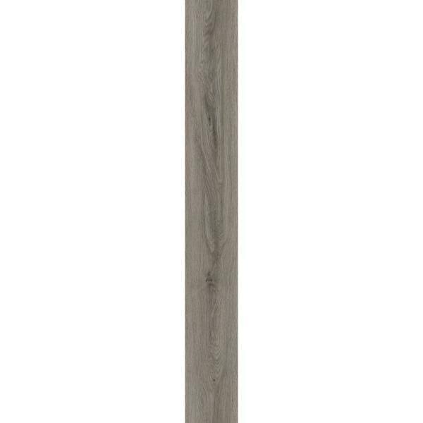 6 in. x 48 in. Silver Oak Glue Down Vinyl Plank Flooring Q937401