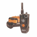 Remote Training Collar 2-Dog X462093
