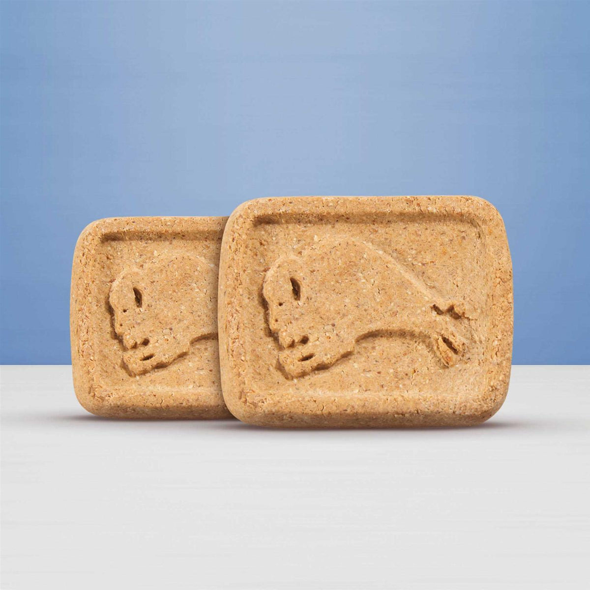 Dog Biscuits Z53257