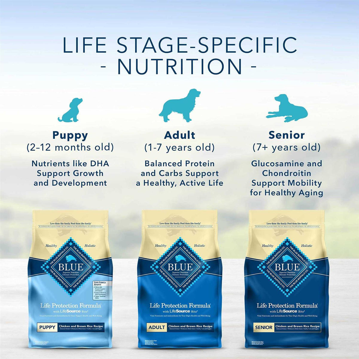 Chicken & Brown Rice Dry Puppy Dog Food N56803
