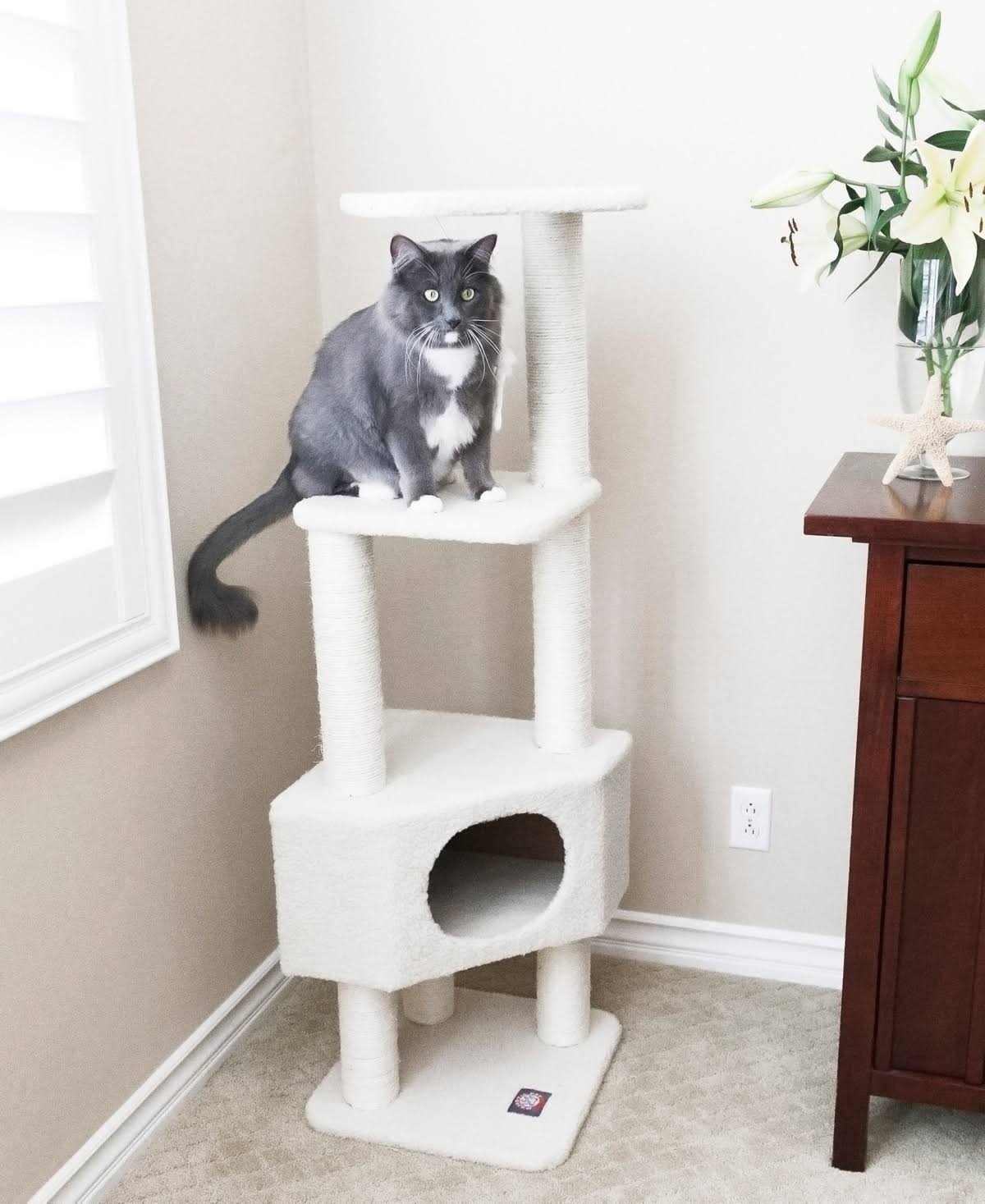 52-in. Cat Tree P48919
