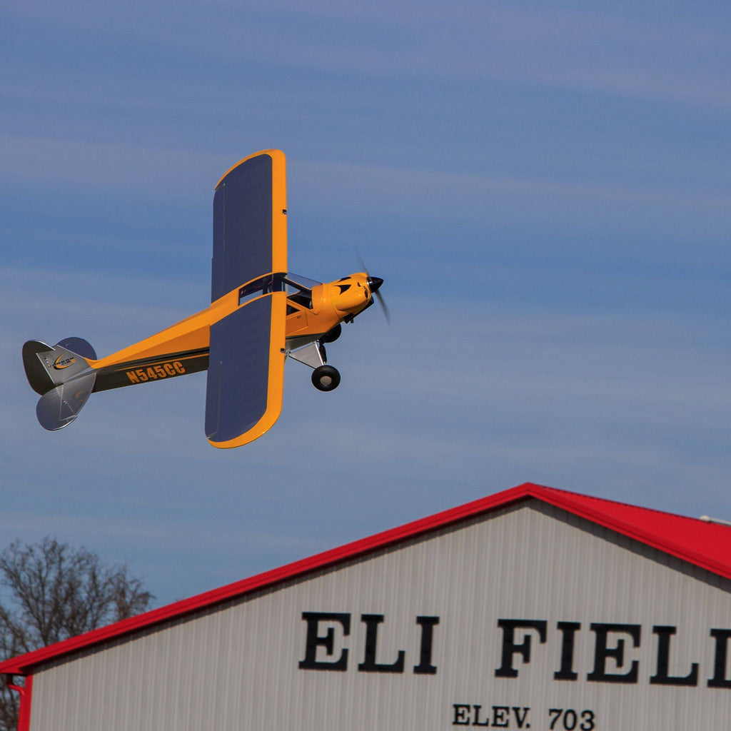 Carbon Cub 15cc ARF D1062