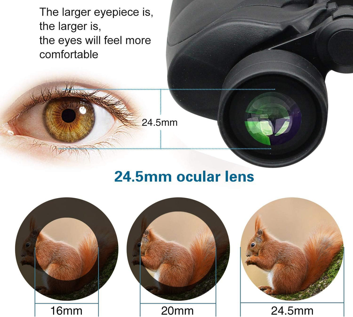 10x50 Waterproof Binoculars with Case and Strap L478966
