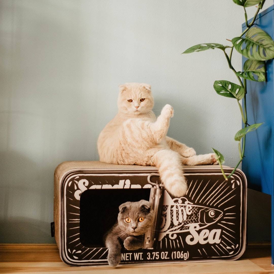 Cardboard Cat Scratcher M4078