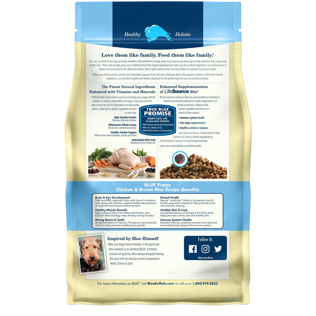 Chicken & Brown Rice Dry Puppy Dog Food N56803