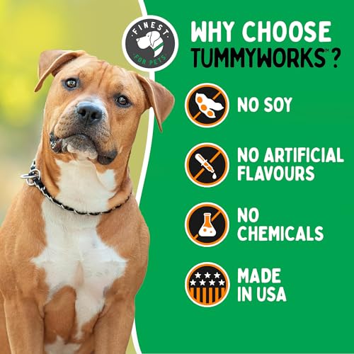 Probiotic 120 Soft Chews for Dogs W346