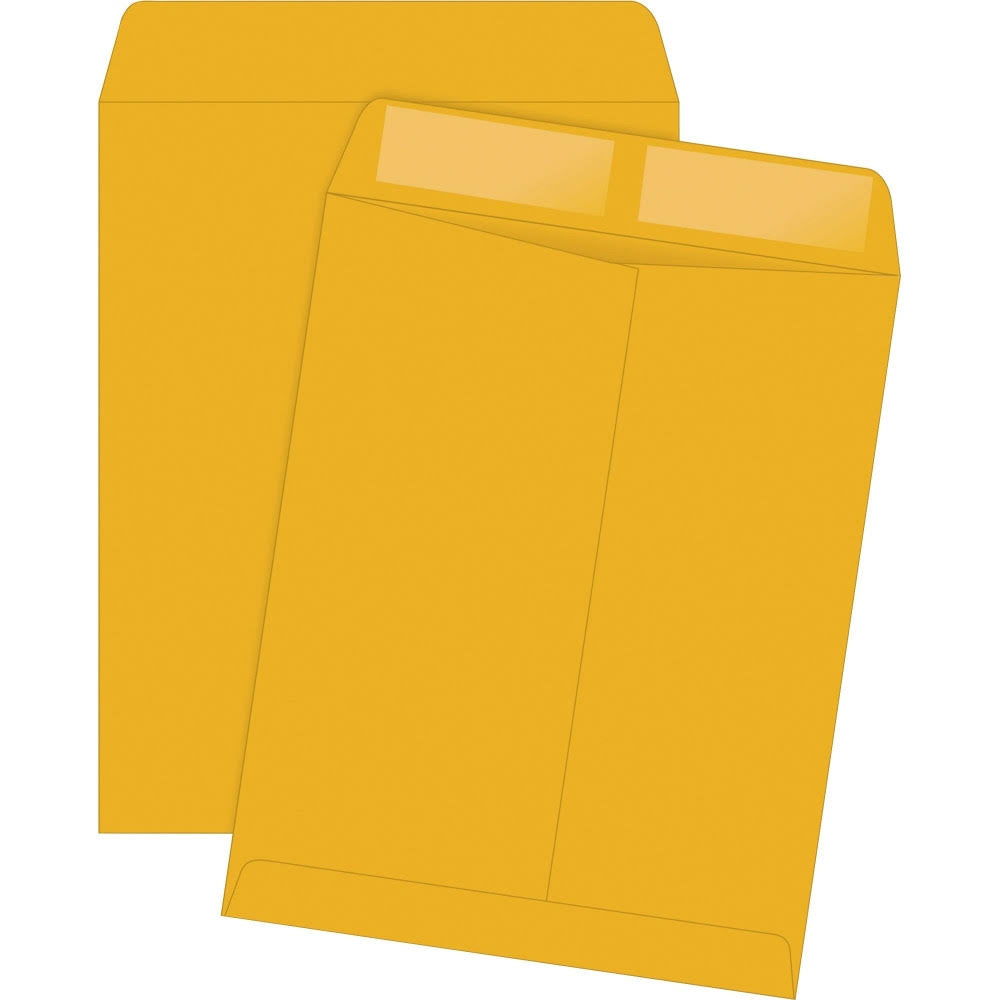 Brown Box of 250 Catalog Envelopes 11 1/2in. x 14 1/2in. L50116