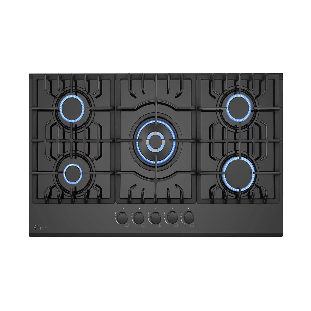 30" Gas Cooktop and 30" Wall Mount Range Hood U17195