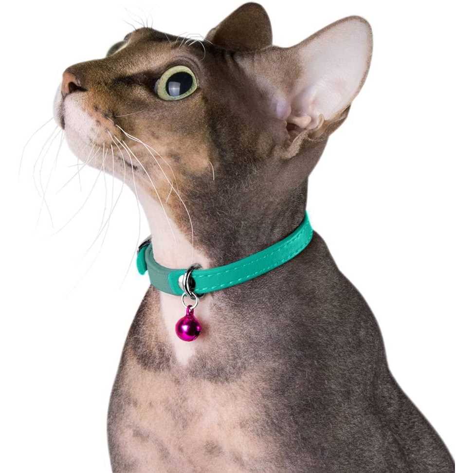 Leather Cat Collar with Bell Z4930