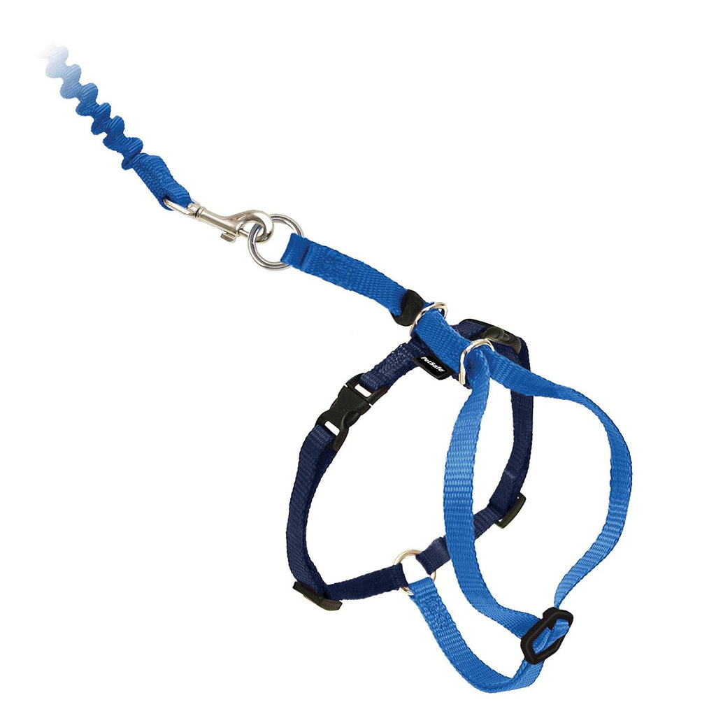 Come with Me Kitty Harness Bungee Leash H85393