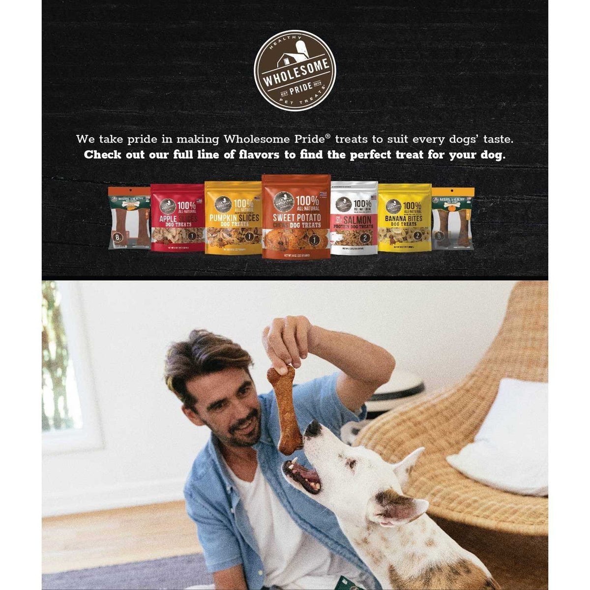 Natural & Healthy Dog W27440