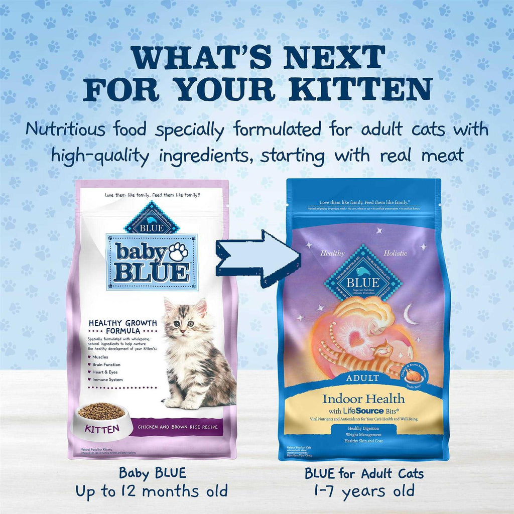 Chicken and Brown Rice Kitten Dry Cat Food V811577