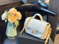 Mini Flap Bag with Top Handle Z64725