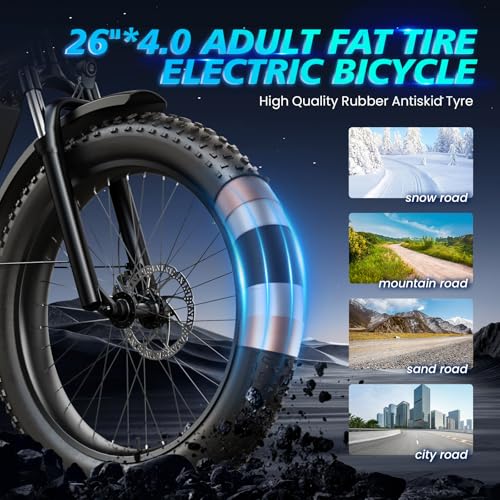 1200 W Electric Bike with 48V Battery and 26" Fat Tire P4473