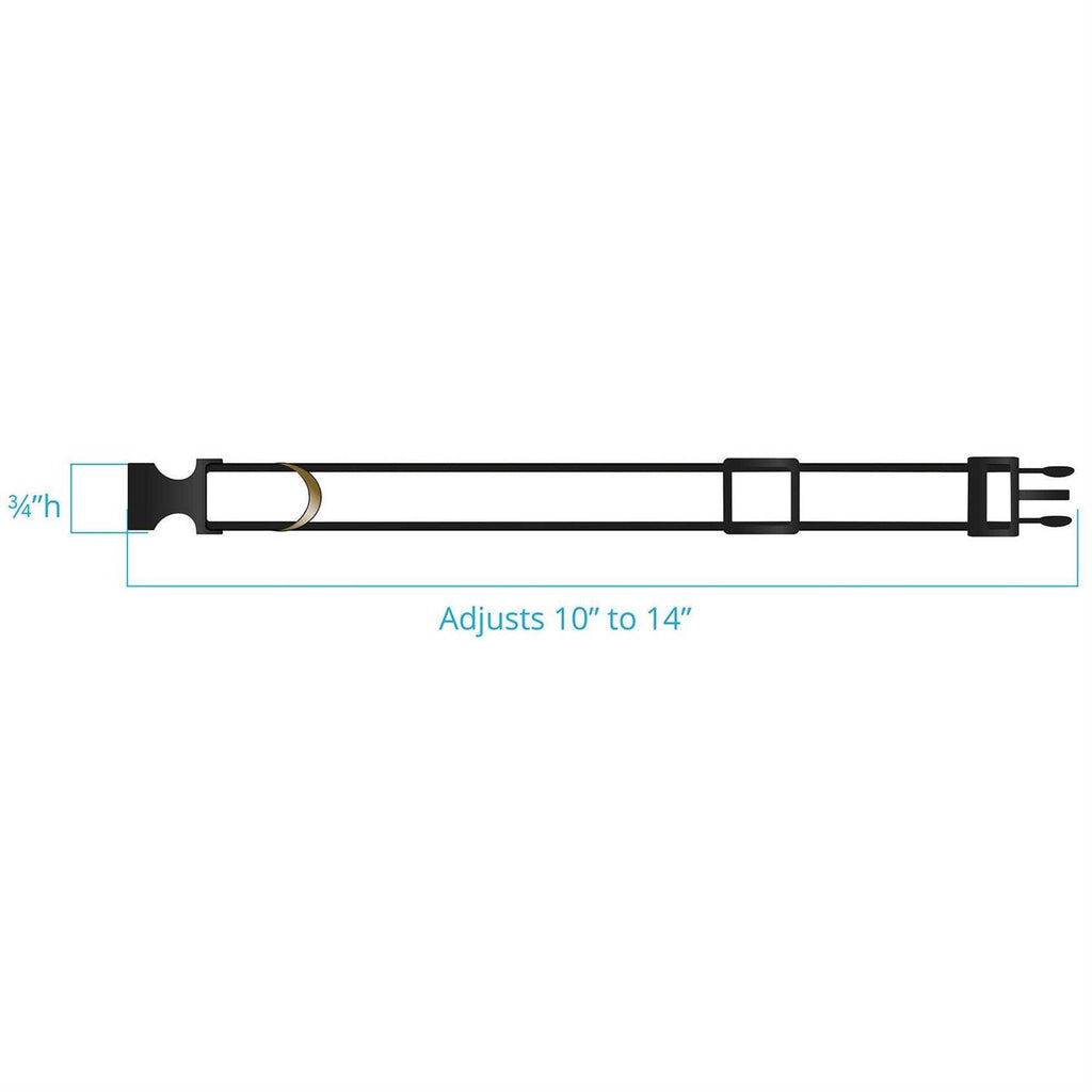 Dog Collar S2256