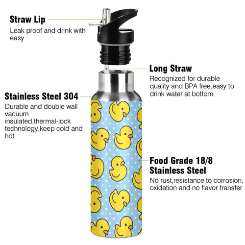 20 OZ Stainless Steel Vacuum Insulated Water Bottle with Straw Lid F801