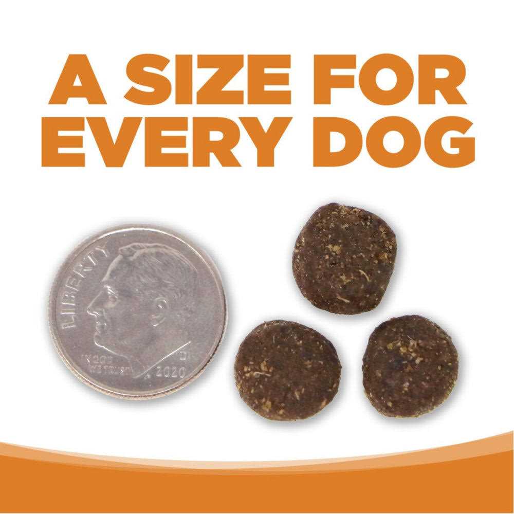 Lamb Rice Dry Dog Food A6651