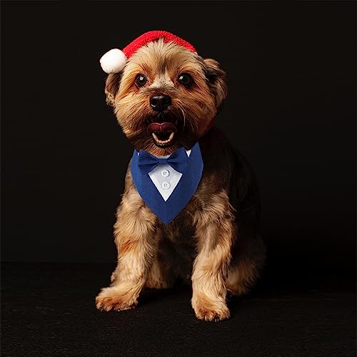 Adjustable Dog Wedding Bandana with Bow (Medium, Black) C58269