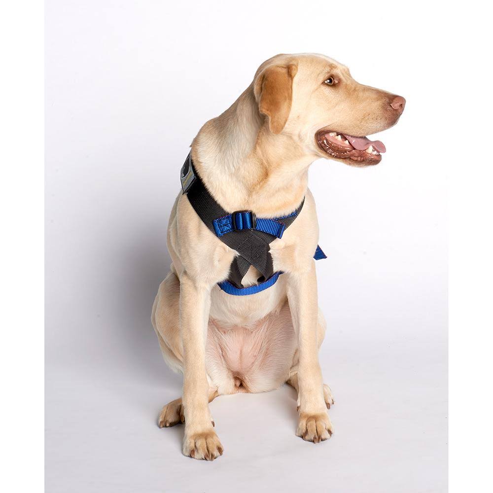 Pink Travel Safe Harness H288754