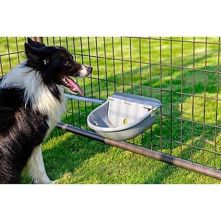 Pet Automatic Waterer R4099