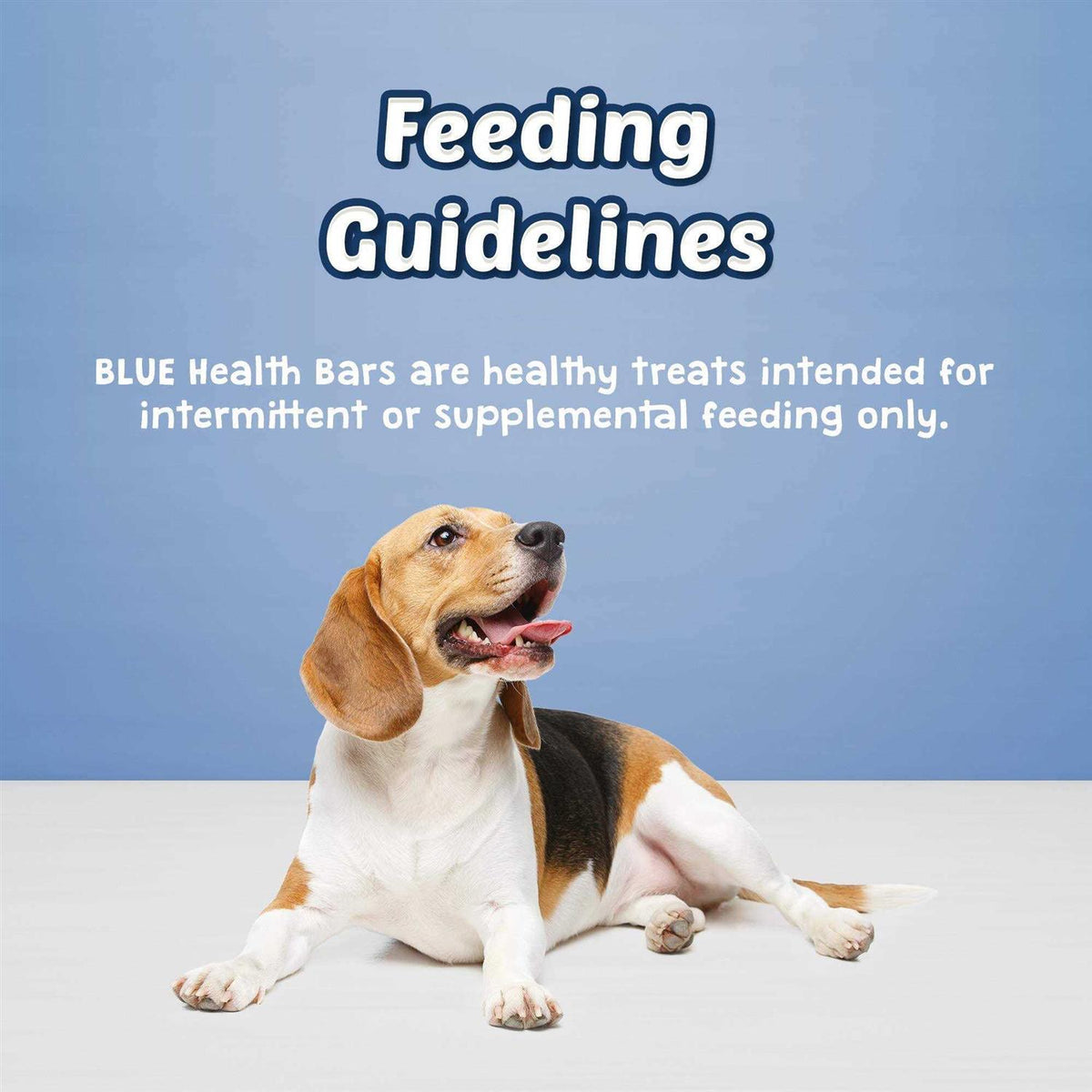 Dog Biscuits Z53257