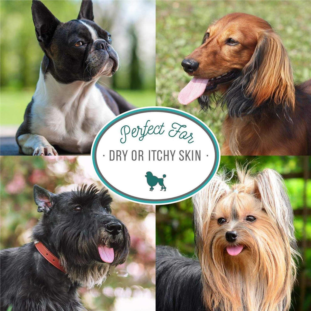 Pet Shampoo T71314