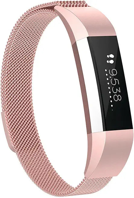 Stainless Steel Mesh Loop Bands B750