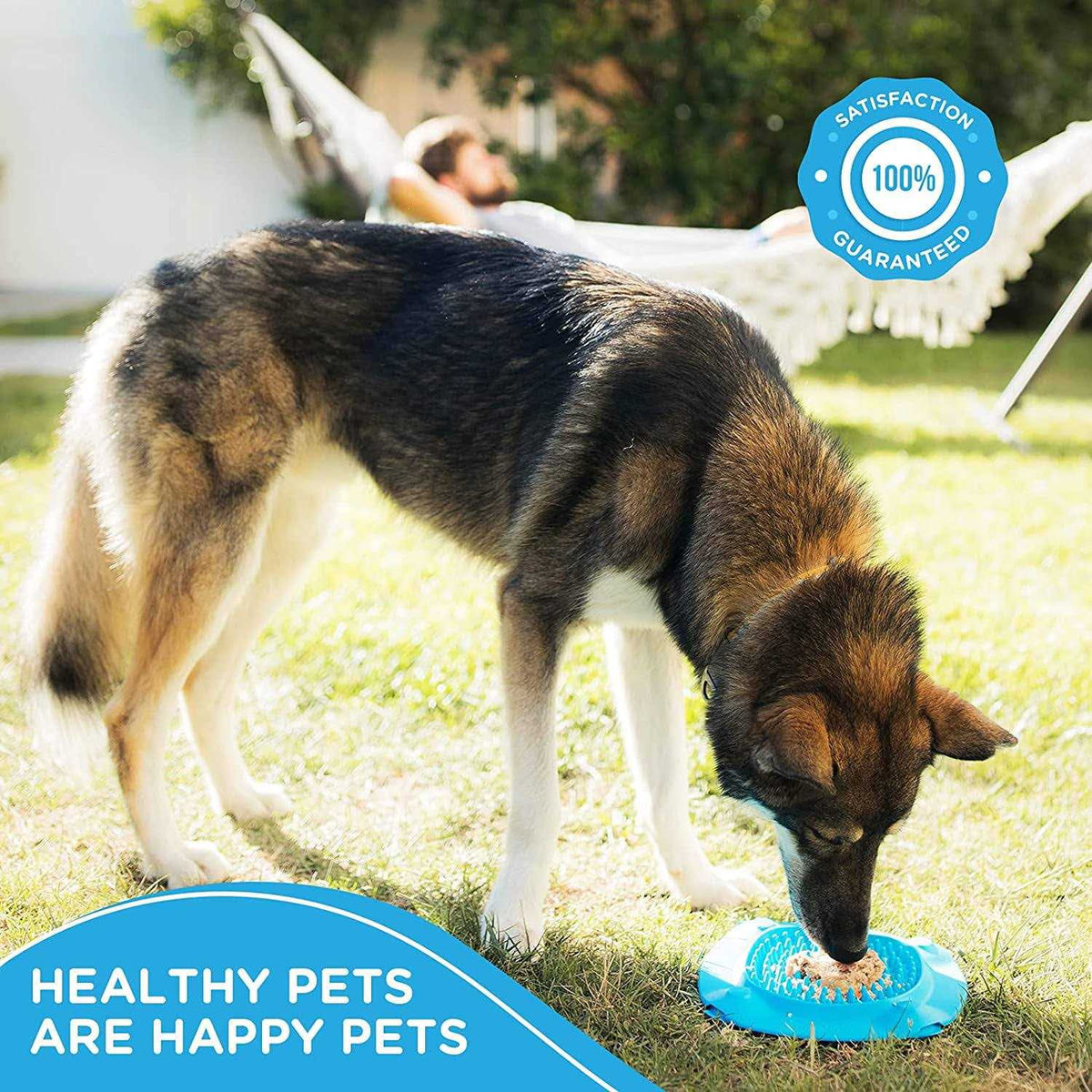 Slow Treater XL Pet Supplies Z24535