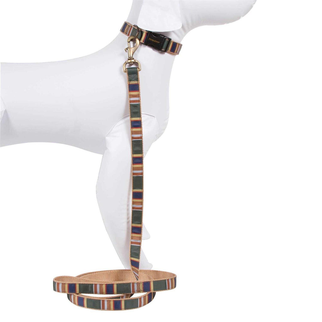Dog Collar S2256