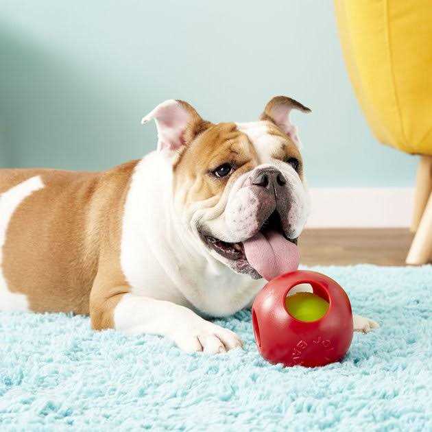 Pet Ball W616
