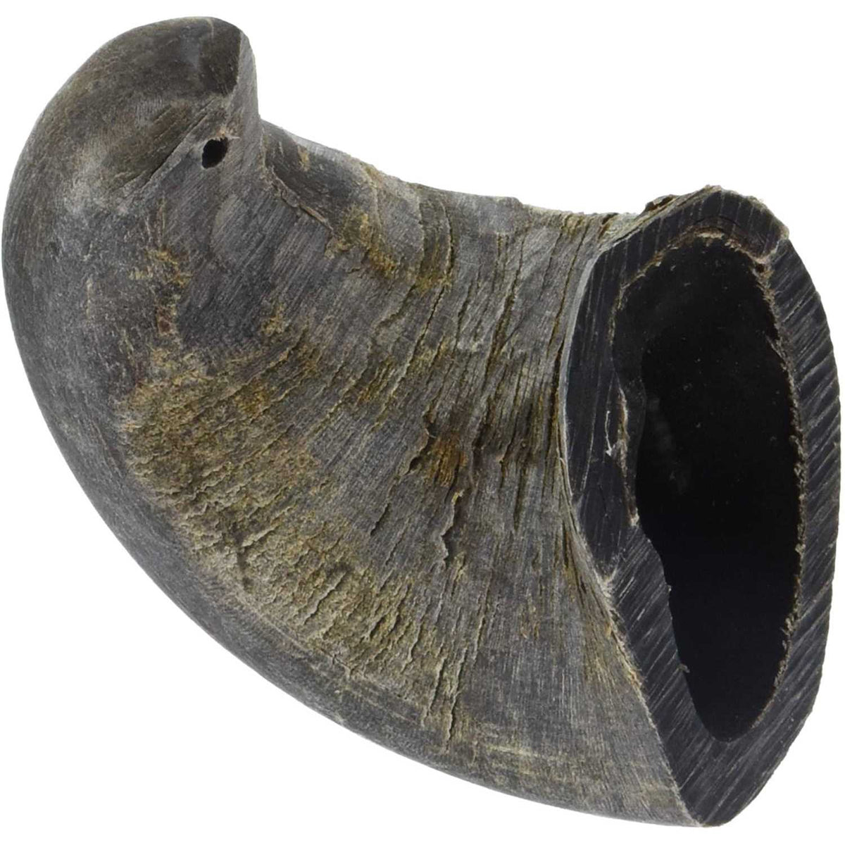 Dog Water Buffalo Horn Small J319032