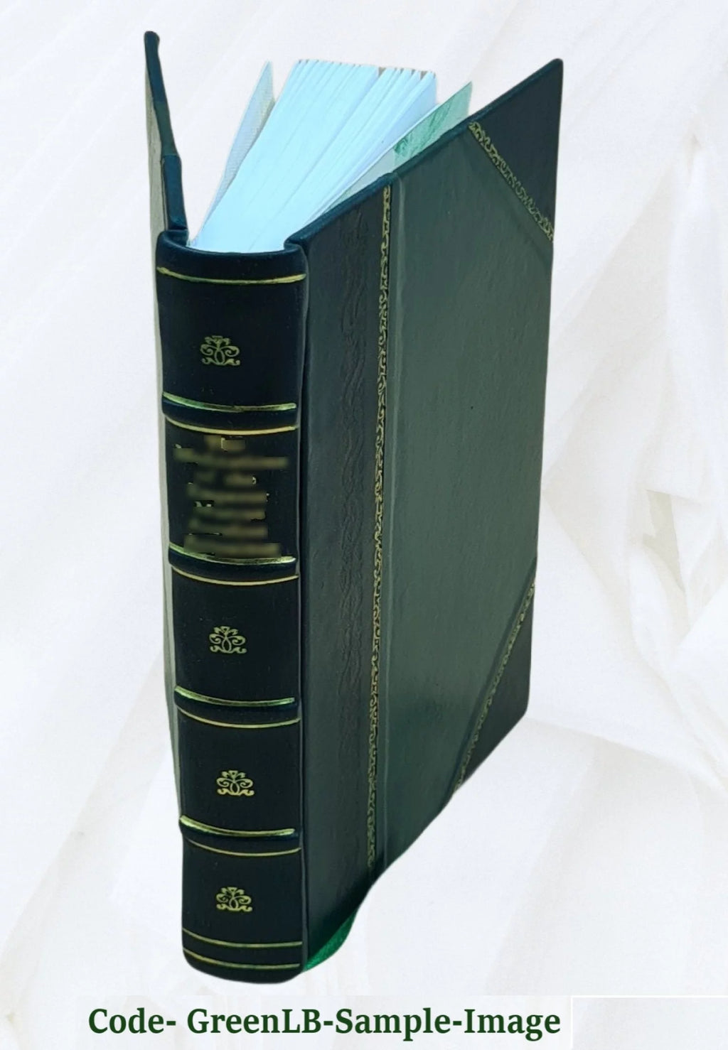 Leather Bound Book L930