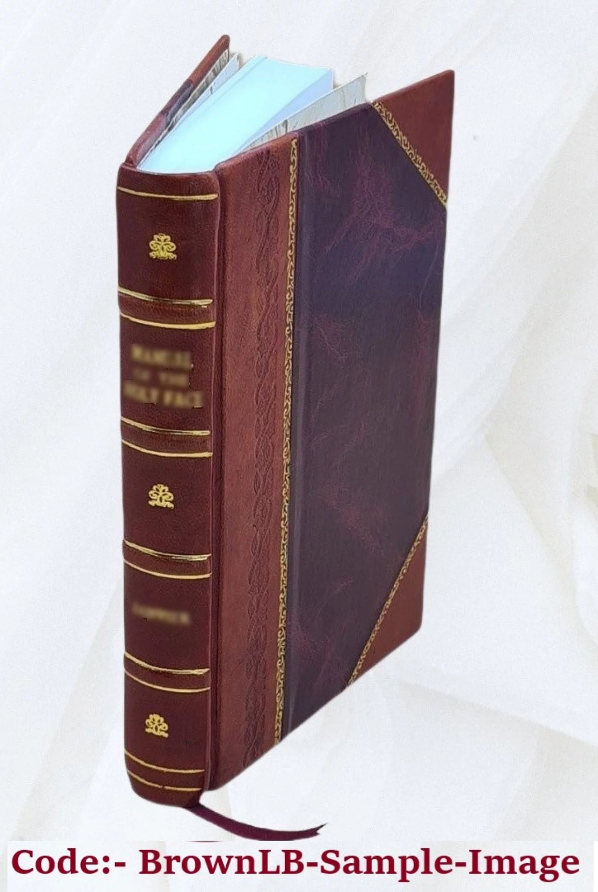 Leather Bound Book L930